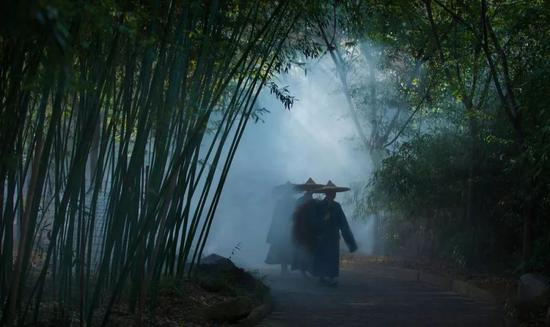 《竹林禅踪》