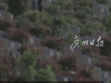 清明上山扫墓却发现母亲的墓不见了