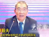 北京大学新结构经济学研究院院长林毅夫称：中国最晚明年将迈入高收入国家行列