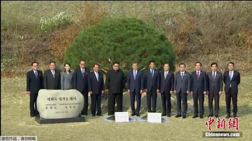 韩朝双方领导人在植树活动现场合影留念。