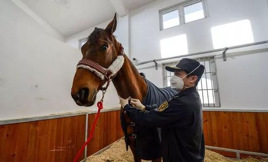 正在接受隔离检疫的法国国礼