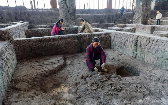 2019年6月27日，上海广富林文化遗址考古现场，考古人员正在工作。图/视觉中国