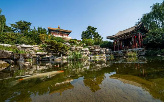 园博园内实景。本届戏曲文化周将促进中国园林文化与戏曲艺术相融合。摄影/新京报记者 陶冉