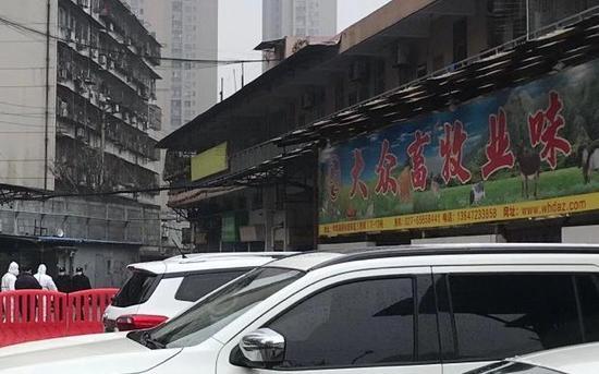 1月21日，华南海鲜市场，网传图片所涉店铺已闭店。摄影/新京报记者 许雯