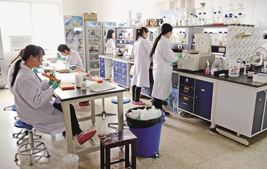 　　农业大学内的作物遗传改良实验室。不管是综合大学的农学院，还是独立建制的农业院校，其兴办都应该给中国的农业现代化输送高端人才和科技成果。视觉中国 资料图