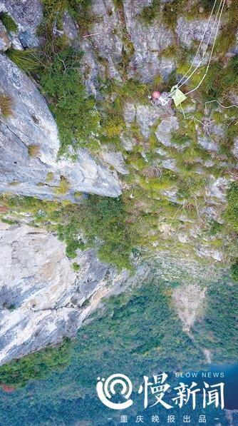 玻璃景观廊桥距离地面718米，吴贵生（图中红圈内）就在这几近垂直的悬崖上捡拾垃圾。