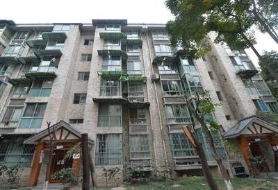 金牛区和睦人家三期业主反映，小区对2栋、3栋间的绿化树进行修剪时，砍伐了部分树木