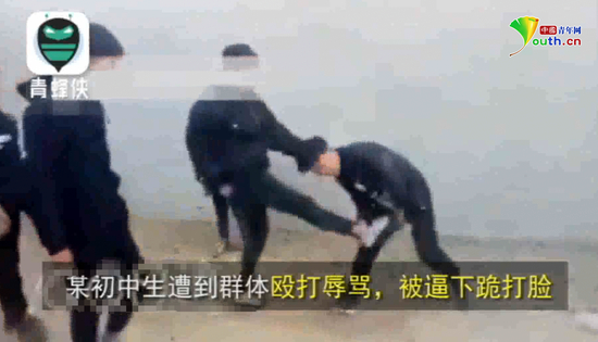 视频截图