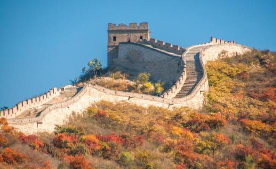 北京八达岭长城红叶岭秋季风光。 东方IC 资料图