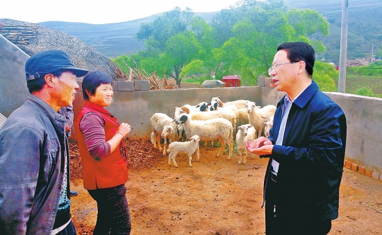 马志宏在西吉县吉强镇调研。