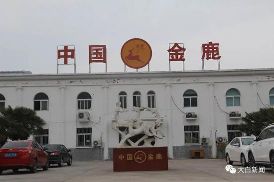 正在逐步投入生产的金鹿罐头厂