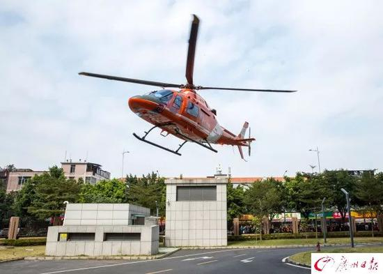 　　▲2月1日中午13时47分许，载着小黄和医护人员的直升机安全着陆在中山大学孙逸仙纪念医院南院区。广州日报全媒体记者 苏俊杰 摄