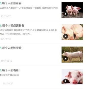 猪的遗书”疯传揭中国“毒猪肉”?真相让人惊呆_手机新浪网