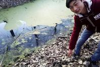 16岁少年跳池塘救溺水儿童