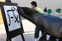 日本海狮嘴咬毛笔 写“戌”字迎接狗年