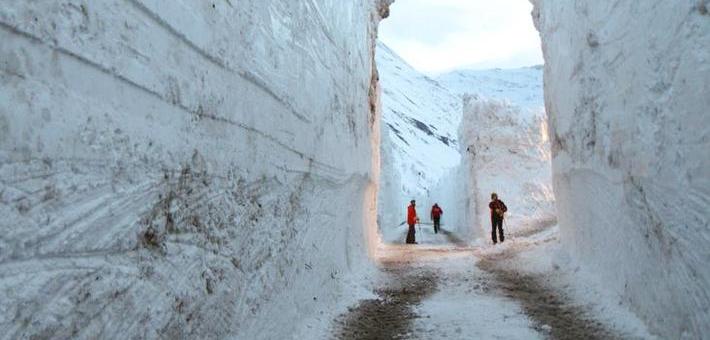 人口雪崩_出生人口雪崩 这件事有多严重 芥末堆(2)