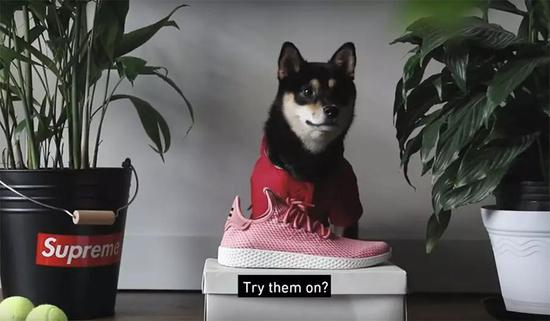 Pharrell ×&nbsp;adidas Originals’ Tennis Hu “Raw Pink”…