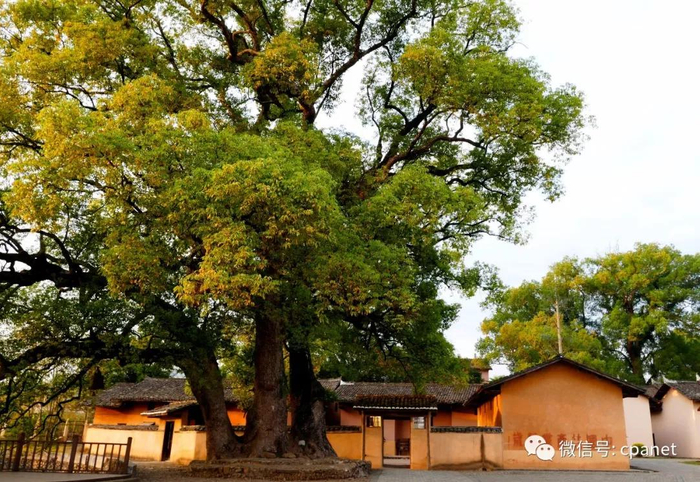 瑞金沙洲坝——中华苏维埃临时中央政府所在地。