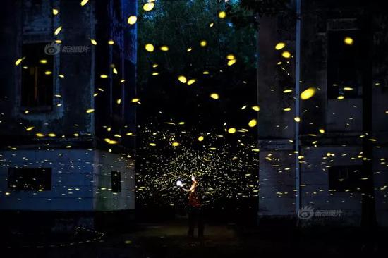 月度优秀奖”《萤火虫之夜》摄影：@守猪_糊涂