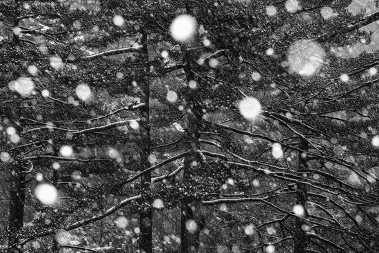 《冬雪》，2016&nbsp;