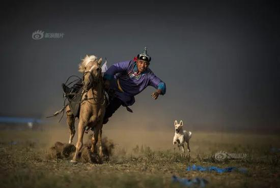 月度优秀奖”《一起出征》摄影：@guoliehui