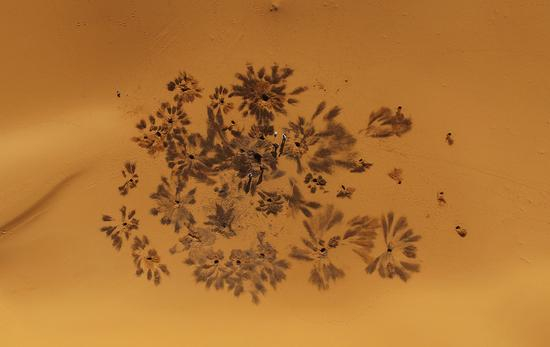 陈杰拍摄的获得“华赛”自然与环境新闻单幅金奖的作品，《埋在沙漠下的污染》。