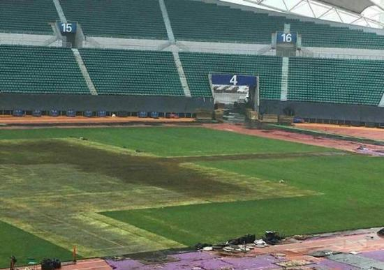 哈尔滨会展中心体育场草皮。