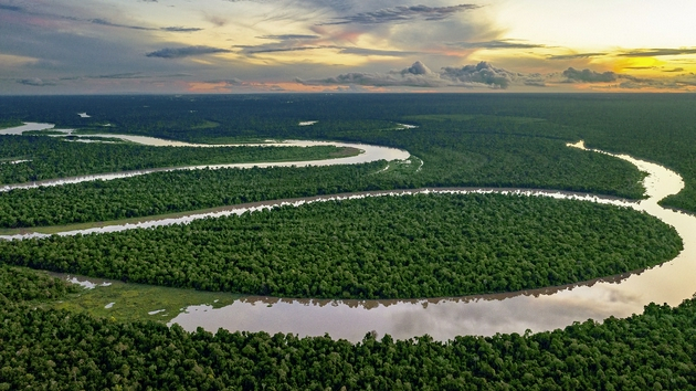 巴西亚马逊，2002年劳力士雄才伟略大奖获得者José Márcio Ayres创建了Mamirauá可持续发展保护区。©Rolex/Marc Latzel