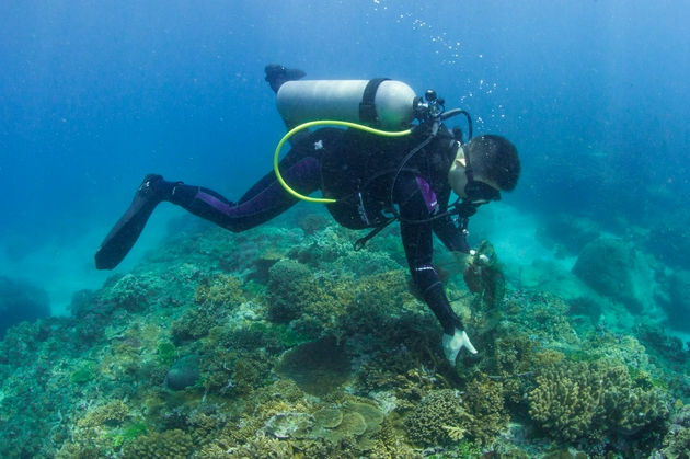 李秀保在三亚清理海底垃圾。受访者供图