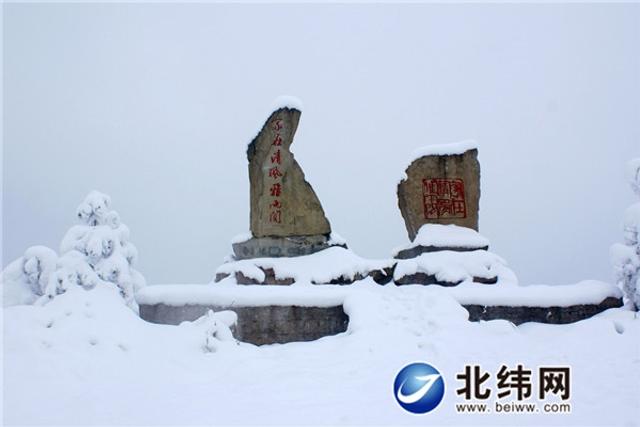 雪花飞舞雅安多地开启 雪景模式 新浪图片