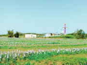 省人大代表李蓉：建议加大农村环境保护的投入和支持力度