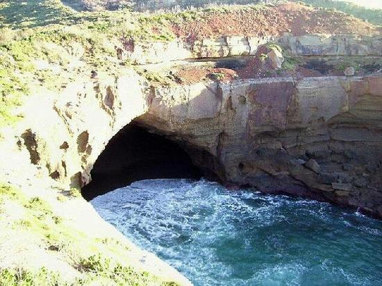 发现尸体的地点。