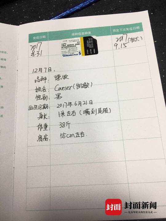 疫苗记录
