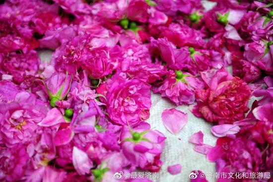 硬核县长“带货”玫瑰，论一个县长主播的“自我修养”