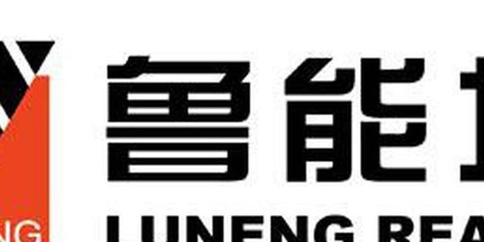 鲁能集团logo图片