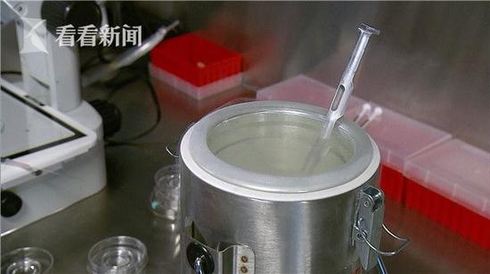 卵子被放进零下196度的液氮