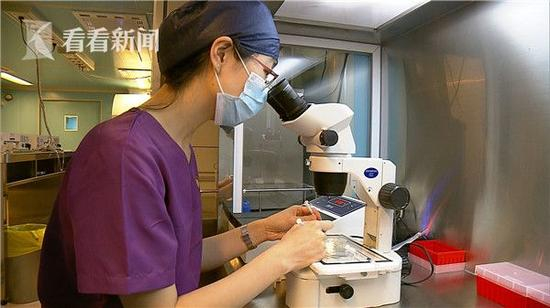 冷冻卵子应该放开吗？