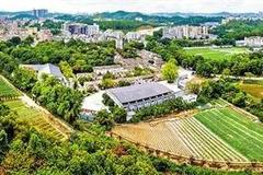 深圳最美是此村 观澜版画基地坚持生态与人文建设并进