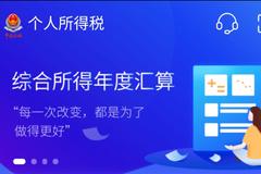 个人所得税APP：2020年度收入纳税账单查询指南