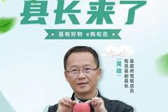 苹果正红产业兴 中国银行亿元资金扶贫扎根旬邑县