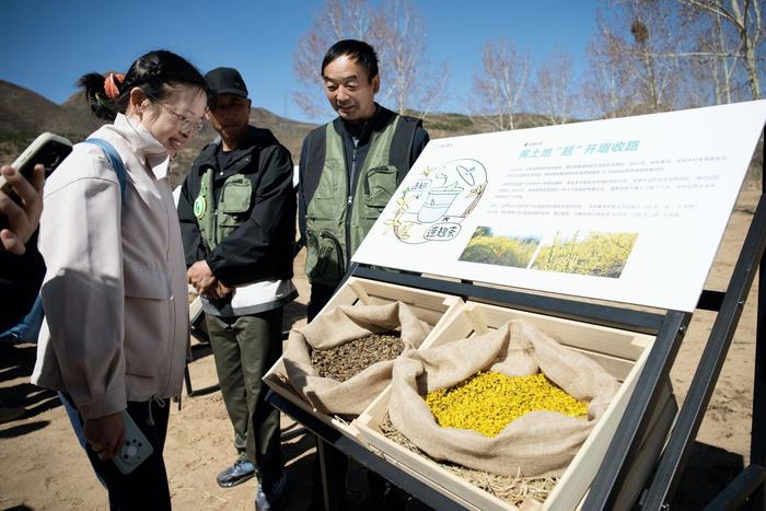 图注:种树人现场“带货”介绍蚂蚁森林经济作物