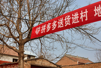 “网上买，村里取”成为现实，拼多多“免费送货入村”模式引人大代表热议