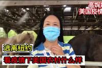 高娓娓疫情日记:逃离纽约,看疫情下美国农村什么样