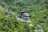 中国唯一没有新冠肺炎的地级市,连树叶都能卖钱(图)