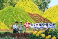 这个开满鲜花的公园,藏着彩色梦幻的秋天(图)