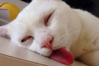 你怕死吗?大数据揭示担心猝死的15个职业
