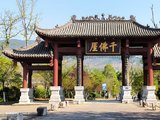 参观广元千佛崖丨摩崖造像（二十五）