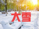 341@365今日大雪节气