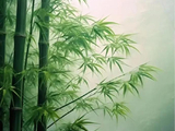 走进竹林深处（五十七）