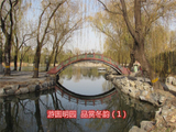游圆明园品赏冬韵（1）